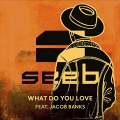 What Do You Love (featuring Jacob Banks) (Download) 