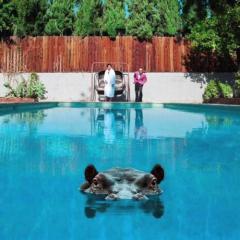 Hippopotamus von Sparks (Download) 
