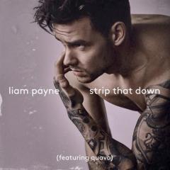 Strip That Down (featuring Quavo) von Liam Payne (Download) 
