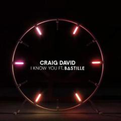 I Know You (featuring Bastille) von Craig David (Download) 