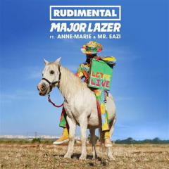 Let Me Live (featuring Anne-Marie and Mr. Eazi) von Rudimental (Download) 