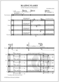 Blazing Flames  von Esa Pietilä 