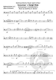 The Snowman's Sled Ride (Schneemann´s Schlittenfahrt) von Geoffrey D. Barlow 