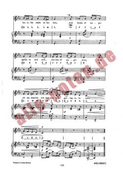 The Wizard von Peter Jenkyns 