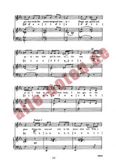 The Wizard von Peter Jenkyns 