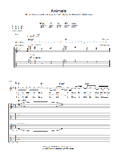 Animals von Coldplay (Download) 