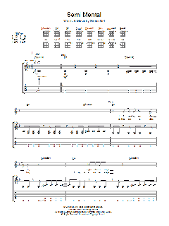Semi-Mental von Biffy Clyro (Download) 