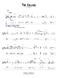 The Calling von Pat Metheny (Download) 