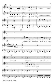 Beach Boys Blast (Beach Boys) 