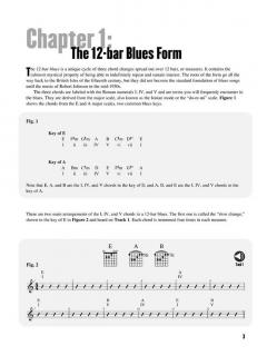 Beginning Blues Guitar von Dave Rubin 