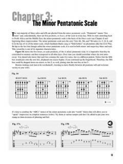 Beginning Blues Guitar von Dave Rubin 