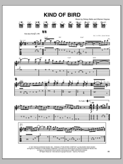 Kind Of Bird von Warren Haynes (Download) 