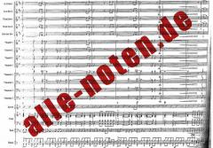 Free Bird von Allen Collins 