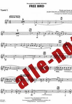Free Bird von Allen Collins 
