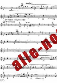 Free Bird von Allen Collins 