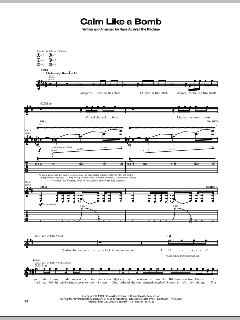 Calm Like A Bomb von Rage Against The Machine (Download) 