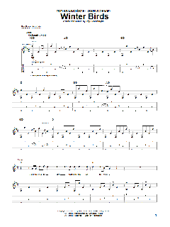 Winter Birds von Ray LaMontagne (Download) 