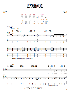 Careful von Guster (Download) 