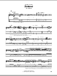 Zenland von Eric Johnson (Download) 