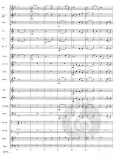 Rising Star von Samuel Hazo 