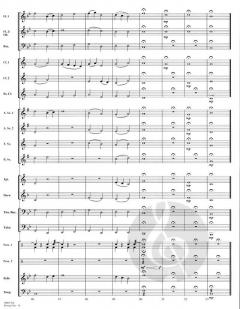 Rising Star von Samuel Hazo 