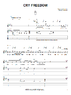 Cry Freedom von Dave Matthews (Download) 