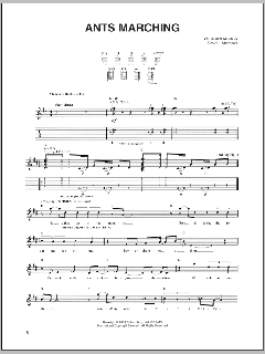 Ants Marching von David J. Matthews (Download) 