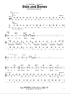 Skin And Bones von Foo Fighters (Download) 