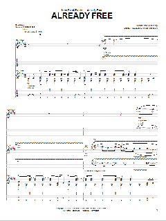 Already Free von Derek Trucks (Download) 