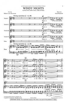 Windy Nights von Imant Raminsh 