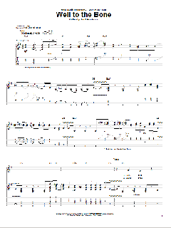 Well To The Bone von Scott Henderson (Download) 