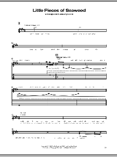 Little Pieces Of Seaweed von Steve Vai (Download) 