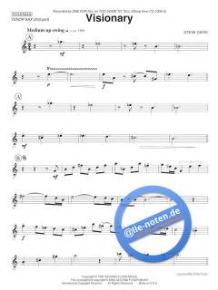 Visionary von Stephen Davis 