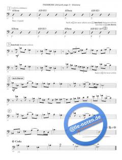 Visionary von Stephen Davis 