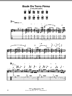 Back On Terra Firma von John Jorgenson (Download) 