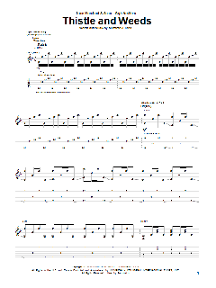 Thistle And Weeds von Mumford & Sons (Download) 