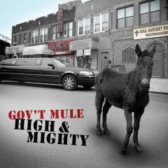 Mr. High & Mighty von Warren Haynes (Download) 