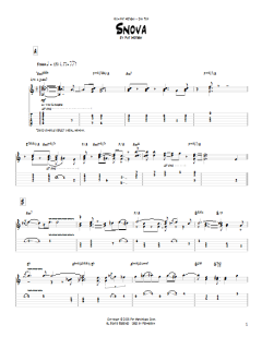 Snova von Pat Metheny (Download) 