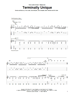 Terminally Unique von Lamb Of God (Download) 