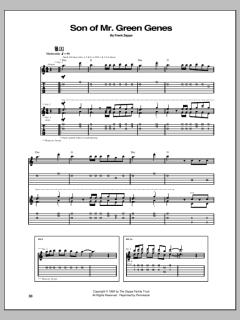 Son Of Mr. Green Genes von Frank Zappa (Download) 