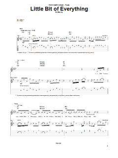 Little Bit Of Everything von Keith Urban (Download) 