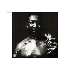 Honey Bee von Muddy Waters (Download) 