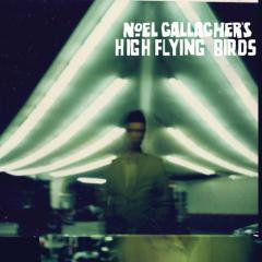 The Dying Of The Light von Noel Gallagher's High Flying Birds (Download) 