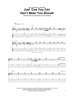 Just 'Cos You Can Don't Mean You Should von Joe Bonamassa (Download) 