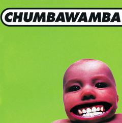 Tubthumping von Chumbawamba (Download) 