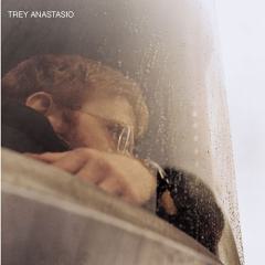 At The Gazebo von Trey Anastasio (Download) 