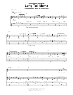 Long Tall Mama von Big Bill Broonzy (Download) 
