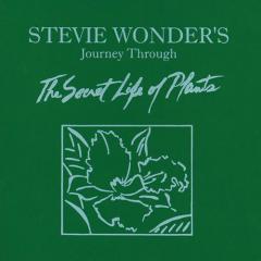 Send One Your Love von Stevie Wonder (Download) 