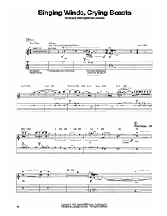 Singing Winds, Crying Beasts von Michael Carabello (Download) 