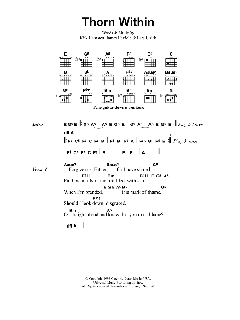 Thorn Within von Metallica (Download) 